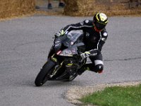 2018 Julbach (236)