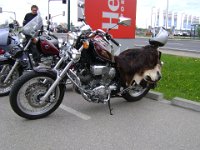 2010 4. Max Center Motorradfest ( 6)