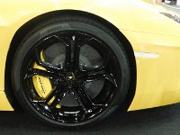 141024-WelsPS-0049-Lambo#