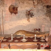 70. CA Esztergom Herbst 2007 (28)