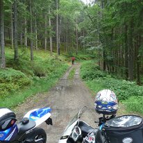 71. CA Frühjahr 2008 Finkenstein 021