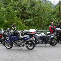 81. CA Stein bei Loipersdorf Frühjahr ( 4)