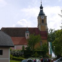 81. CA Stein bei Loipersdorf Frühjahr (12)