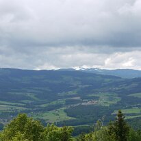 81. CA Stein bei Loipersdorf Frühjahr (14)
