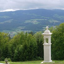 81. CA Stein bei Loipersdorf Frühjahr (16)