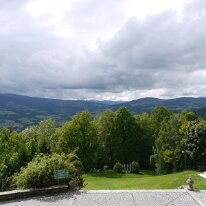 81. CA Stein bei Loipersdorf Frühjahr (18)