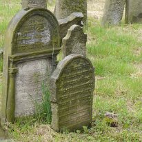 83. CA Hradec Kralove Königgrätz Frühjahr 2014 ( 83)