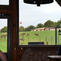 86. CA Liptovsky Mikulas Hohe Tatra ( 28)