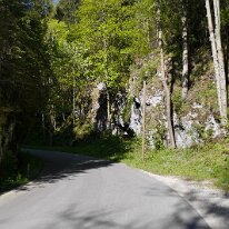 87. CA Frühjahr Trattenbach (66)