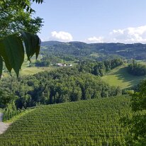 91. CA Frühjahr Leutschach (69)