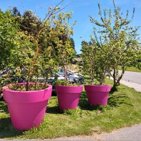 98. CA Kopcany Handyfotos (3)