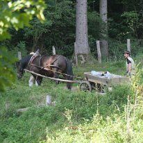 99. CA Friesach Herbst 2022(11)