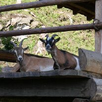 99. CA Friesach Herbst 2022(7)