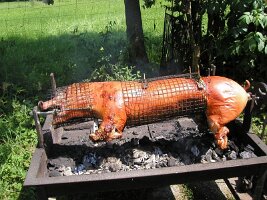 2005 MRSC Teichfest (3)