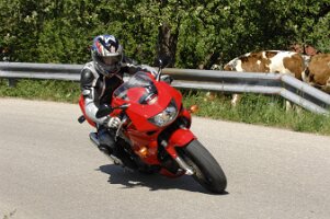 MRSC-Fototag 2007 Brandmayr Peter (9)