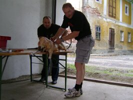 Spanferkelgrillen Erbler (2)