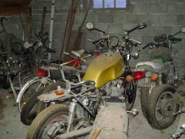 Spanferkelgrillen Erbler (73)