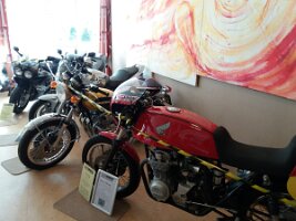 WhatsApp Image 2018-11-12 at 12.56.49